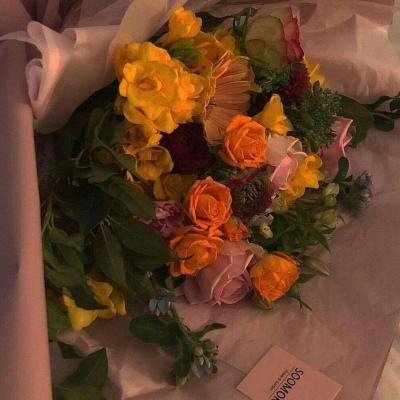 BOB·体育手机APP