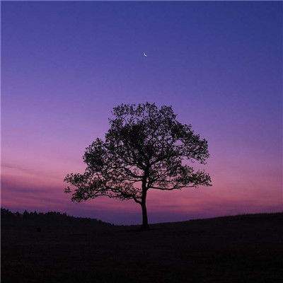 爱游戏APP·官方登录入口(ayx)app下载截图